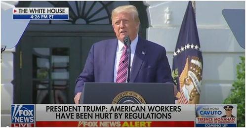 特朗普爆料福克斯视频在线观看 第1张 特朗普爆料福克斯视频在线观看 第1张